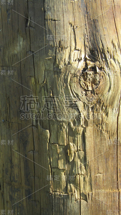 模式