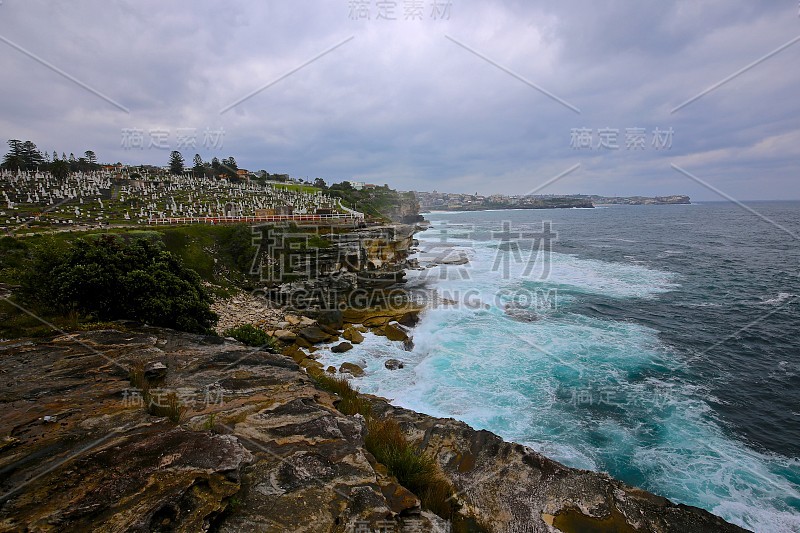 Coogee到Bondi Clifftop路