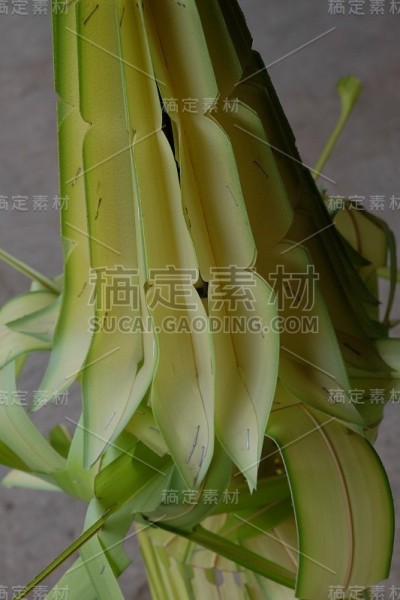 用椰子叶制作一层或一层的工艺