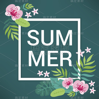 夏日贺卡与棕榈叶，兰花和热带花卉