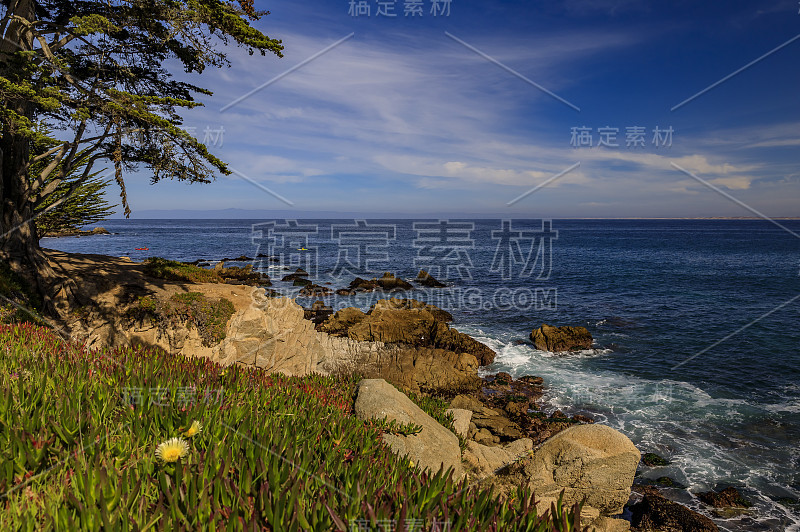 太平洋海岸柏树和海浪拍打着崎岖的加州北部蒙特雷海岸线的悬崖