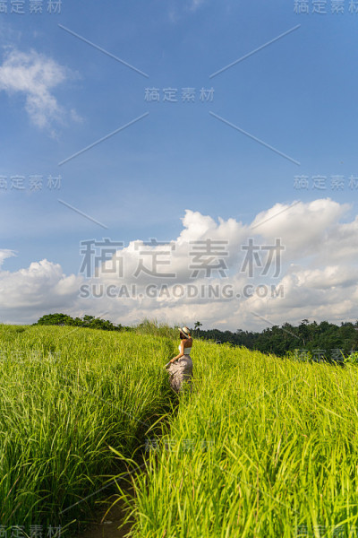 美丽的女人在绿色的田野股票照片