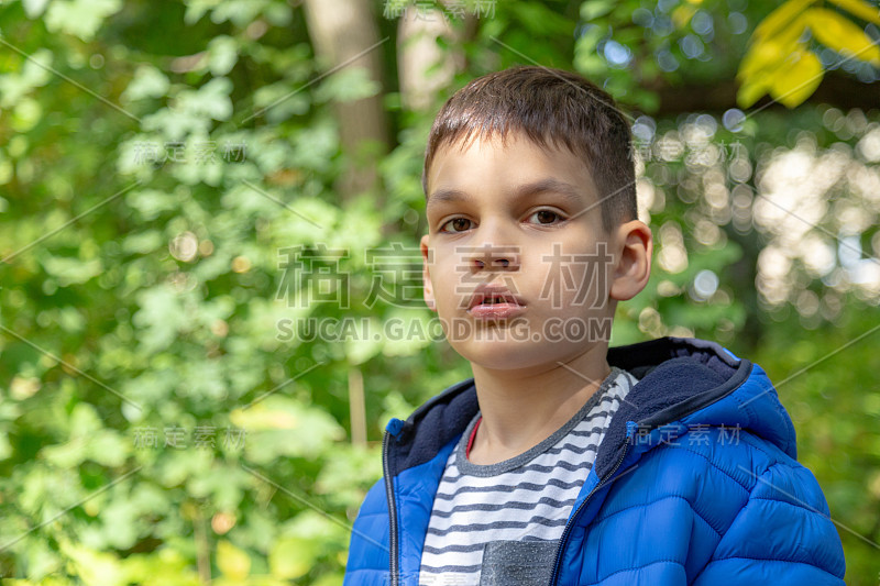 幼稚园白人男孩肖像在秋天的树叶背景在夏天的一天。为文本复制空间。