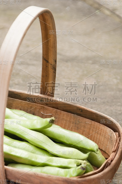 绿蚕豆在一个园丁拖着拷贝空间