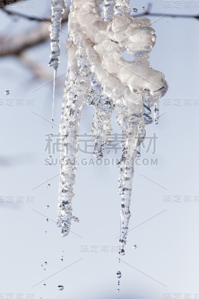 冰来自自然界的树
