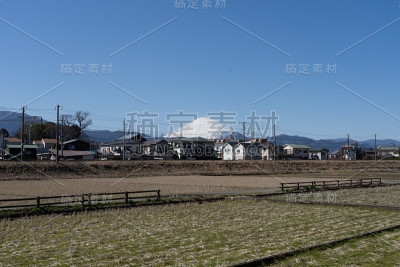富士越过稻田