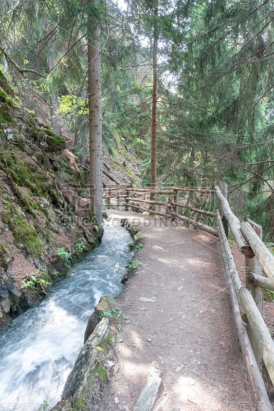 令人惊叹的徒步旅行路线沿着瑟提罗德尔索尔河通道穿过高山森林