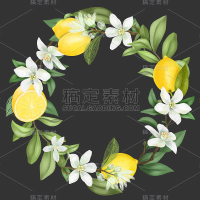花环手绘盛开的柠檬树枝，柠檬花和柠檬，孤立的插图在一个黑暗的背景