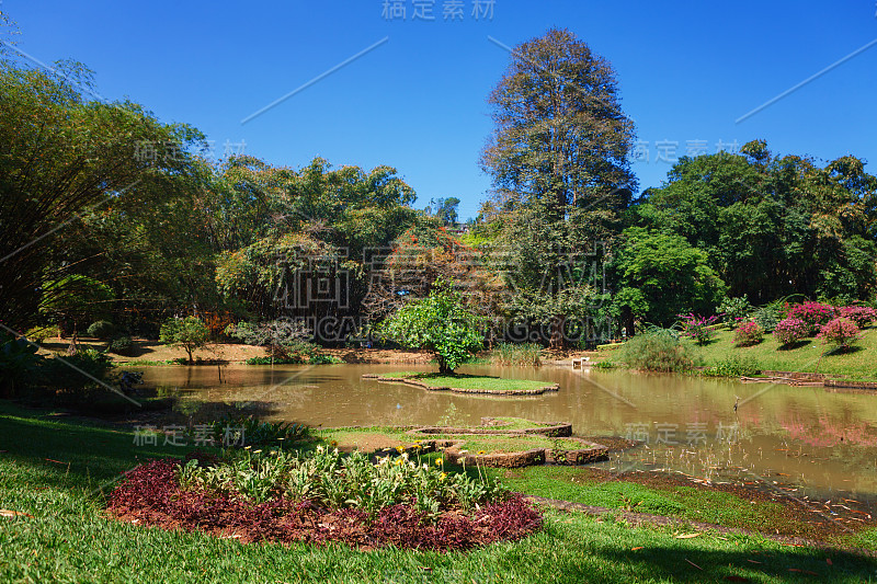 皇家植物园全景，Peradeniya，斯里兰卡。小巷，湖泊和河流