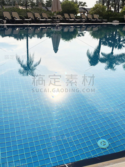 夏日背景阳光，棕榈树和水池