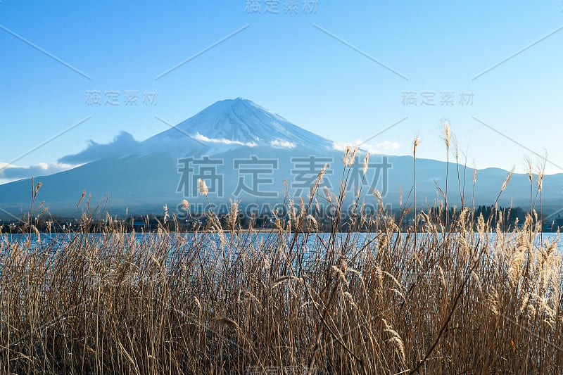 日本——从川口湖眺望富士山的田园诗般的景色