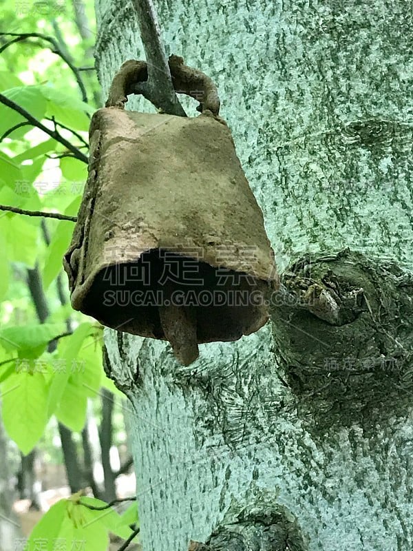 意大利发现金属探测器