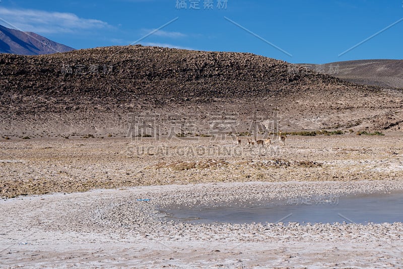 南美洲玻利维亚阿塔卡马地区美丽的风景