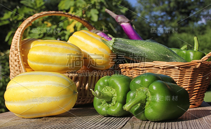 夏季蔬菜收获-银kaku韩国甜瓜与甜椒，茄子和西葫芦