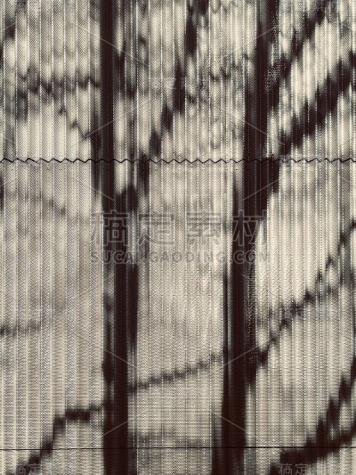 的影子。
