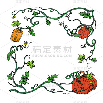 收获南瓜藤框架边界与复制空间上的白色