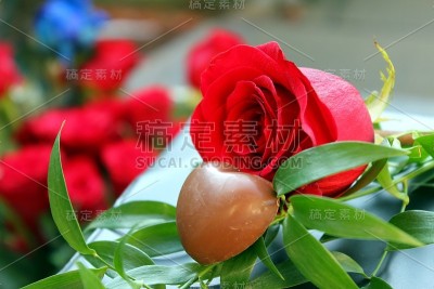 红玫瑰