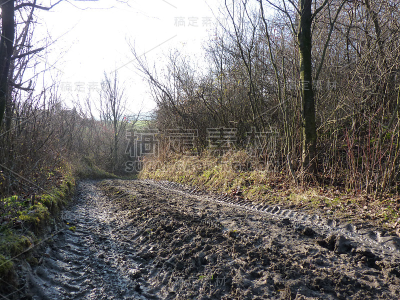 泥路上的泥水和水坑。乡间泥泞道路上的轮胎印。