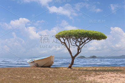 树形蘑菇靠近大海和一艘船。