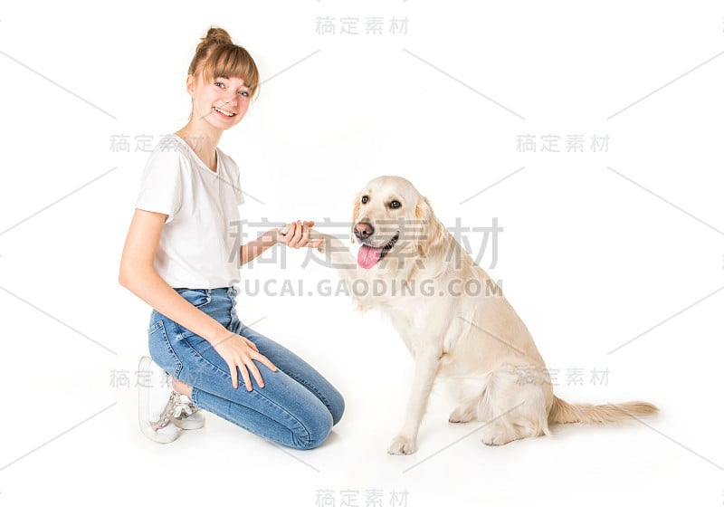 漂亮的少女和她美丽的金毛猎犬在白色的背景