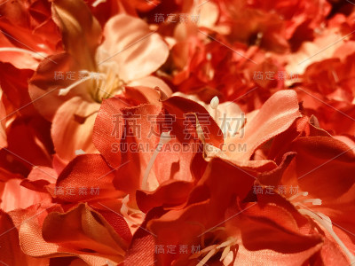 花型独特