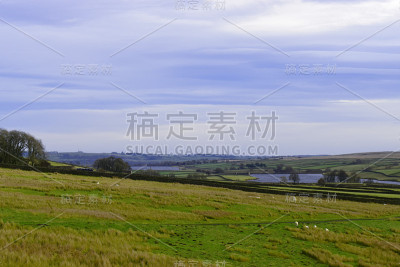 约克郡山谷的风景，绿色的田野上的山顶，干燥的石墙，树木映衬着阴沉的天空