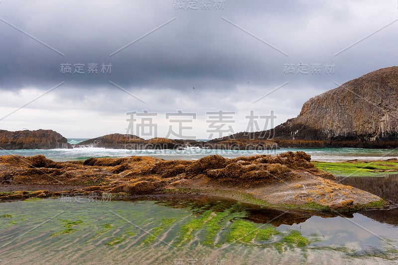 俄勒冈海岸的海豹岩海滩