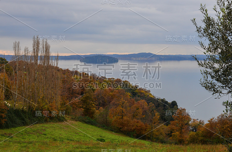 Bolsena lake(意大利语)