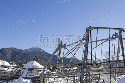 苗圃的温室被毁