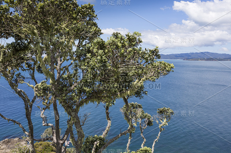 风景来自拉塞尔附近的Paihia，群岛湾，新西兰