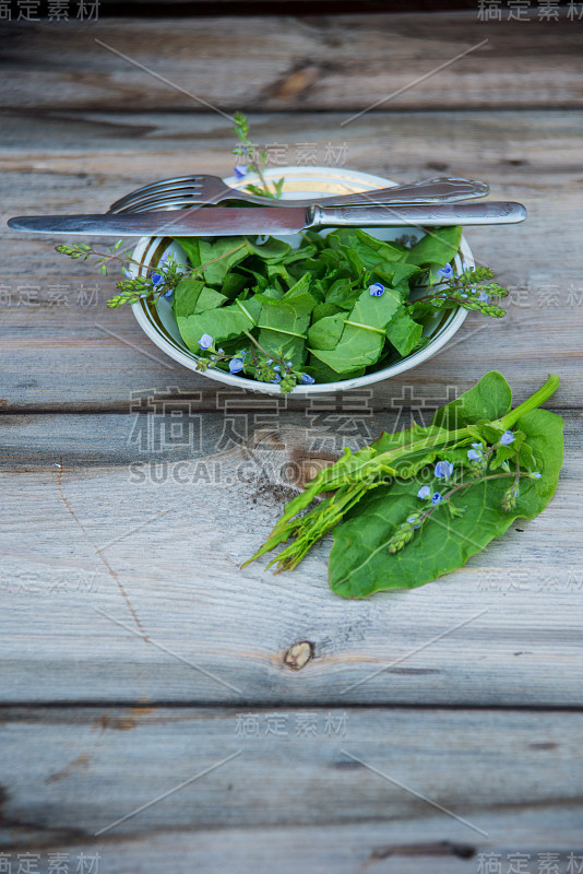 各种新鲜野生药草/新鲜野生药草/药草