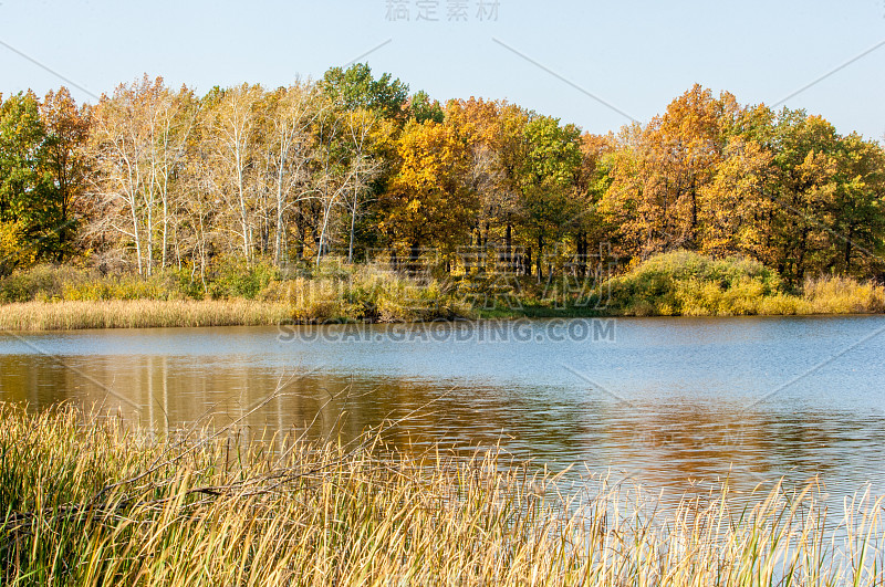 秋天的风景。湖秋混交林