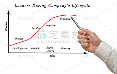 公司生命周期中的领导