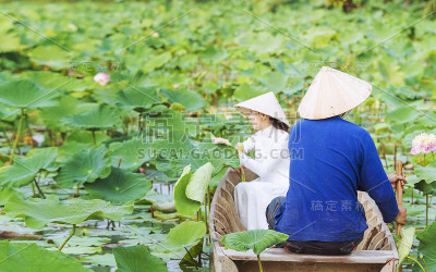 一个越南女人手里拿着一朵莲花。越南人在莲花湖上收获农产品。