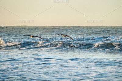 展翅冲浪