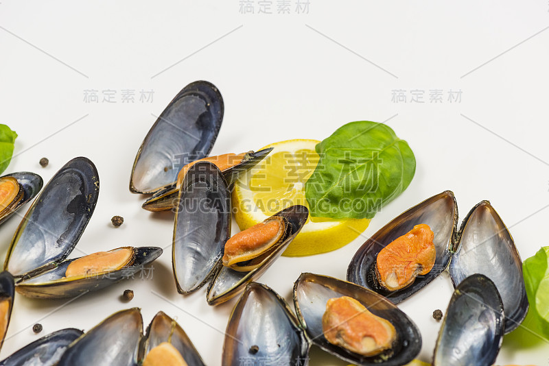 海鲜:白色背景上孤立的贻贝