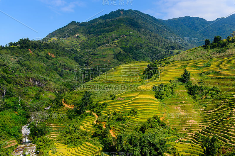 越南北部的自然景观和水稻梯田