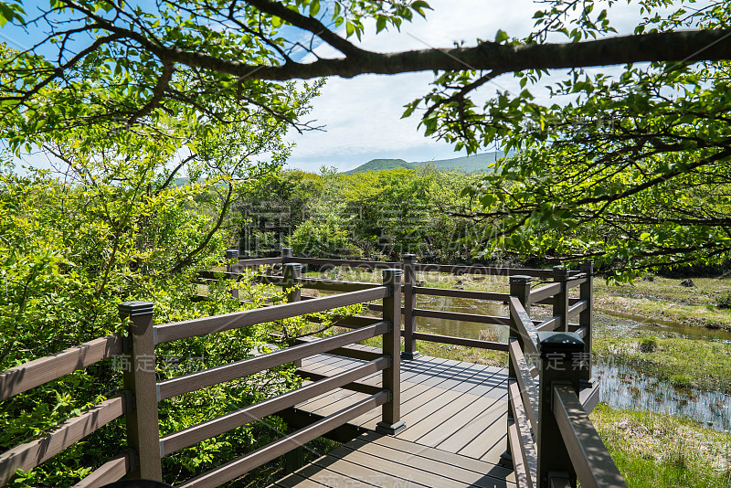 Hallasan山，韩国济州岛的遗产国家公园