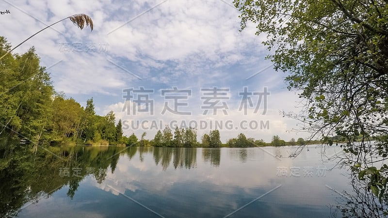 环绕巴伐利亚湖的林地