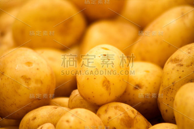 土豆