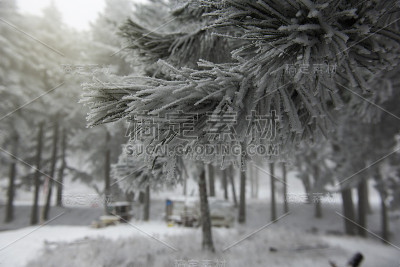 雪景