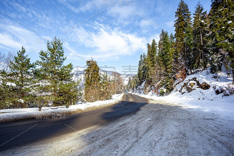 高加索山区森林中的路。冬天的雪和松树。Bakuriani之路