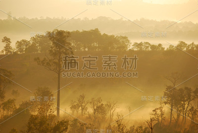 阳光明媚的黎明
