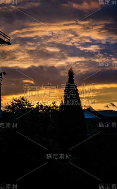 冬天的风景