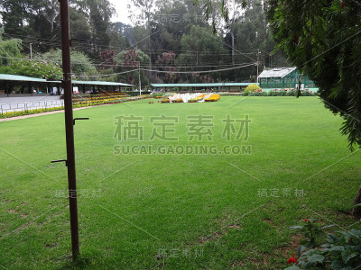 乌蒂花园的印度花园的近景，乌蒂印度。