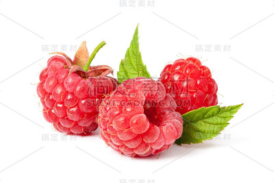 树莓