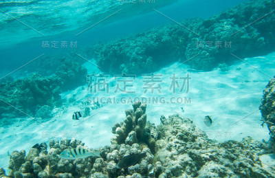丰富的Yejele海滩礁