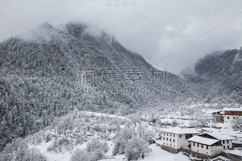 国家雪