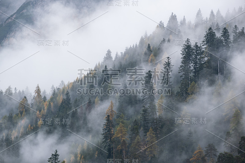 神秘多云，雾蒙蒙的秋季高山山坡景色。奥地利的利恩泽多洛米腾阿尔卑斯山。