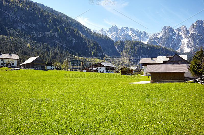 通往高山小屋的乡间小路，背景是碧绿的草地和阿尔卑斯山的山峰